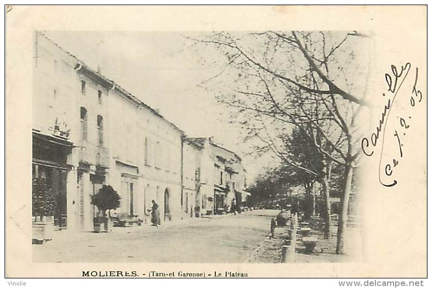 Réf : M-14-3954 : Molières - Molieres