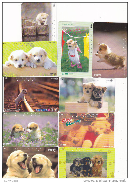 Lot 10 Telecartes Japon Chien - Dog - Hond - Phonecards (chien 2) (au Plus Rapide) - Chats