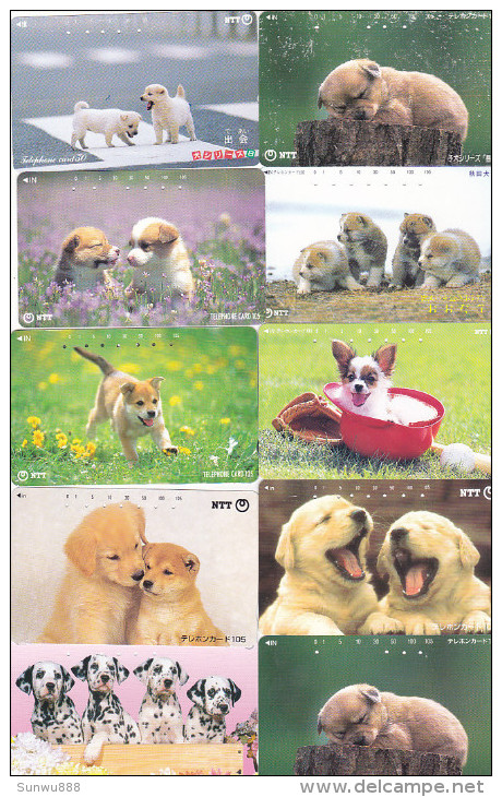 Lot 10 Telecartes Japon Chien - Dog - Hond - Phonecards (chien 3) (au Plus Rapide) - Katzen
