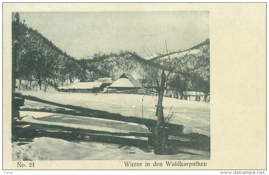 Winter In Den WALDKARPATHEN - Roumanie