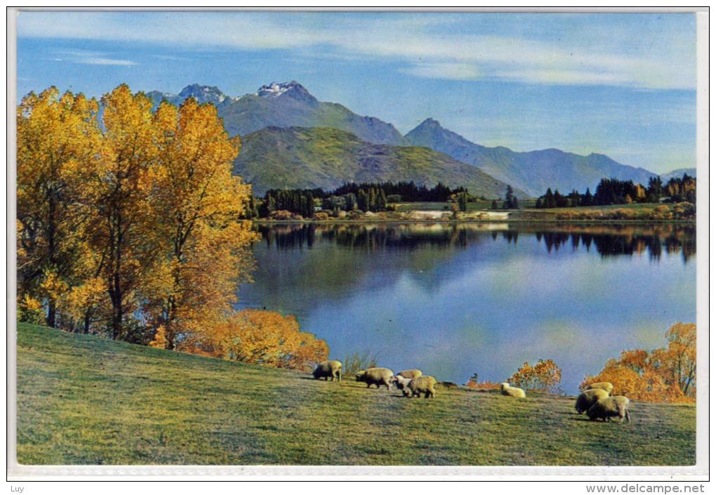 NEW ZEALAND  LAKE HAYES Queenstown Showing Cecil And Walter Peaks - New Zealand