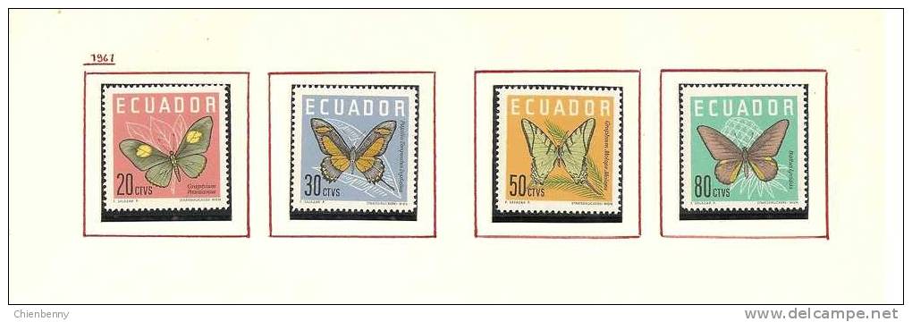 ECUADOR - Farfalle