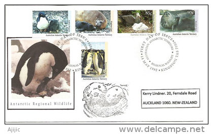 ANTARCTIQUE AUSTRALIEN.faune De L´Antarctique:élephant De Mer,phoque,manchot,etc. Lettre Adressée En Nouvelle-Zélande - Antarktischen Tierwelt