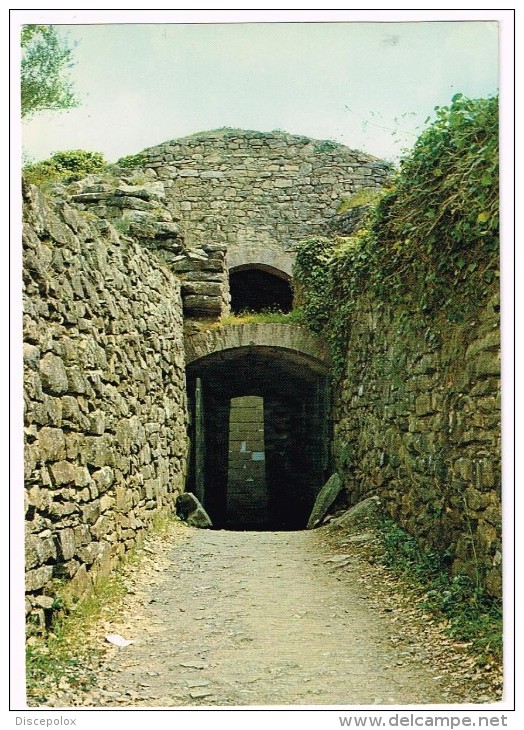 K537 Castiglione Della Pescaia (Grosseto) - Vetulonia - Tomba Etrusca La Pietrera / Non Viaggiata - Altri & Non Classificati