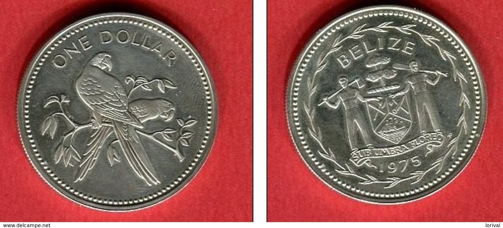 1 DOLLAR PEROQUET 1975  TTB/SUP 28 - Belize