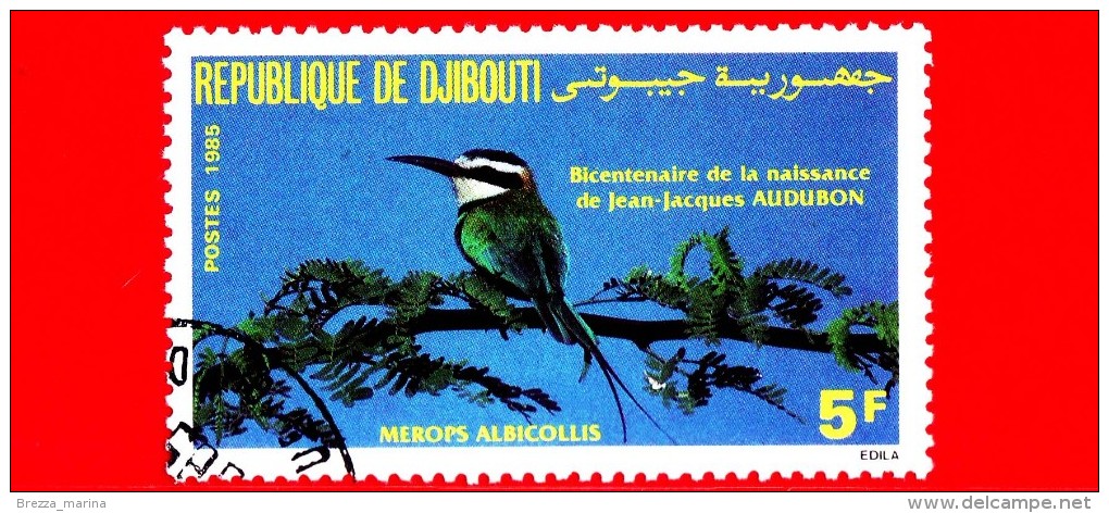 GIBUTI - Djibouti - Nuovo - 1985 - 200 Anni Della Nscita Di J. J. Audubon - Uccelli - Birds - Merops Albicollis - 5 - Gibuti (1977-...)