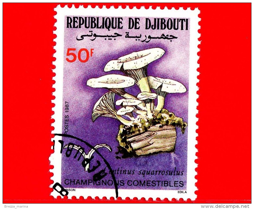 GIBUTI - Djibouti - Nuovo - 1987 - Funghi Commestibili - Mushrooms - Lentinus Squarrosulus - 50 - Gibuti (1977-...)