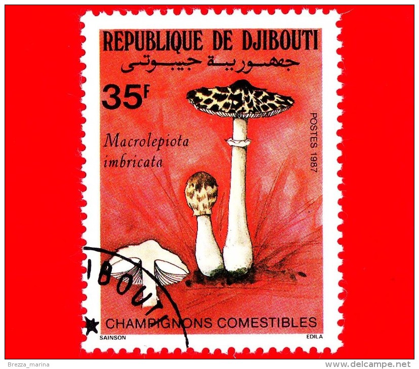GIBUTI - Djibouti - Nuovo - 1987 - Funghi Commestibili - Mushrooms - Macrolepiota Imbrcata - 35 - Gibuti (1977-...)