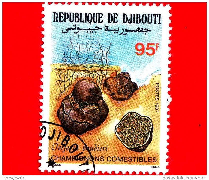 GIBUTI - Djibouti - Nuovo - 1987 - Funghi Commestibili - Mushrooms - Terfezia Boudieri - 95 - Gibuti (1977-...)