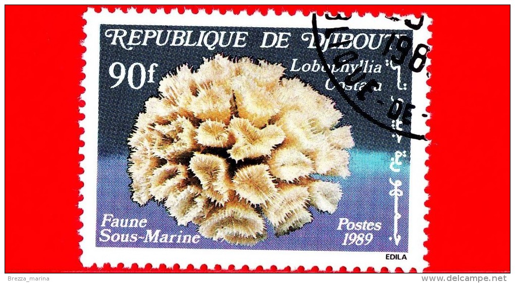 GIBUTI - Djibouti - Nuovo - 1989 - Vita Marina - Coralli E Spugne - Labophyllia Costata - 90 - Gibuti (1977-...)