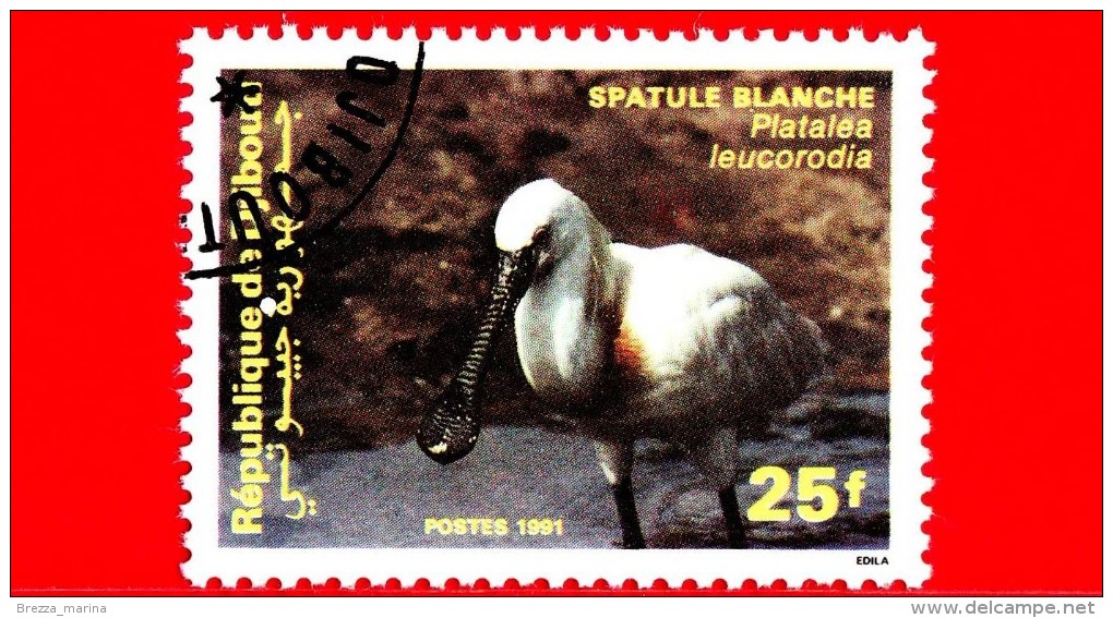 GIBUTI - Djibouti - Nuovo - 1991 - Uccelli Acquatici - Birds - Platalea Leucorodia - 25 - Gibuti (1977-...)