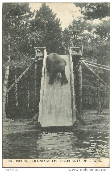 Eléphants De L'Inde - Exposition Coloniale - ** Sur Le Tobogan Piscine ** - Cpa - Ethnique En Bon état. - Géorgie