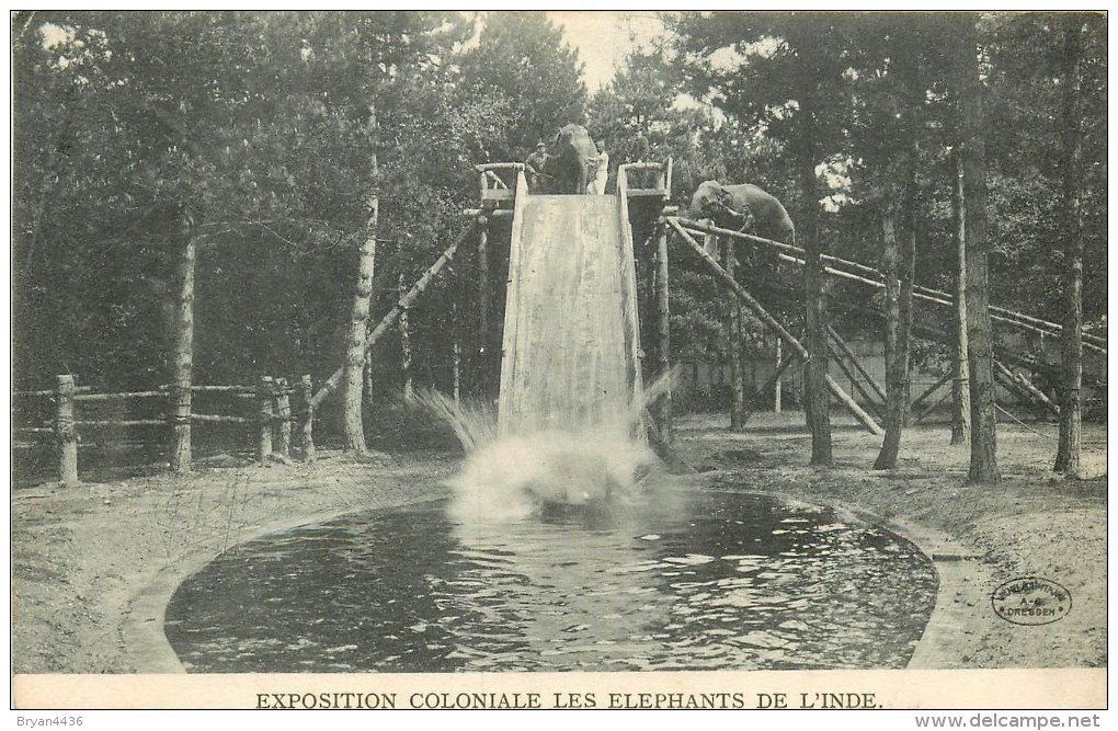 Eléphants De L´Inde - Exposition Coloniale - ** Sur Le Tobogan Piscine ** - Cpa - Ethnique En Bon état. - Géorgie