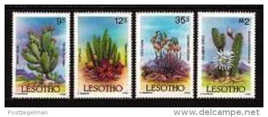 LESOTHO , 1986, Mint Never Hinged Stamp(s)  , Cactusses   MI 560-563, #2688 - Lesotho (1966-...)