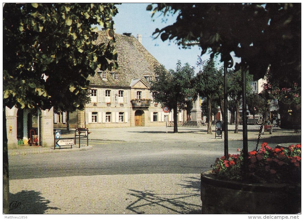 CPSM 1973 NEUF-BRISACH - L'Hôtel De Ville (A81) - Neuf Brisach