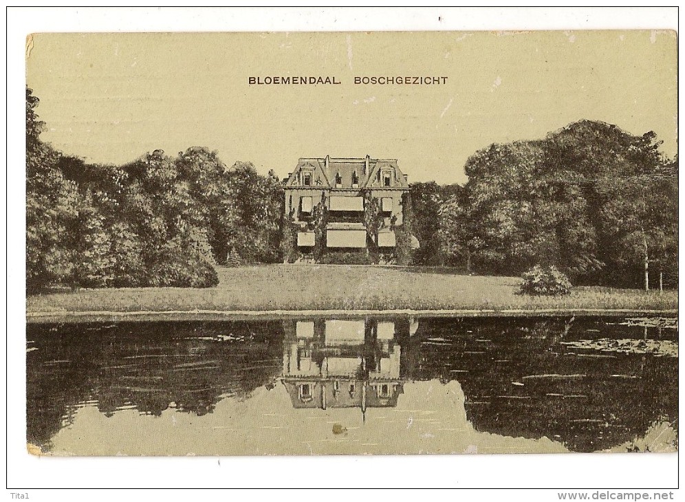 S1256 - Bloemendaal - Boschgezicht - Bloemendaal