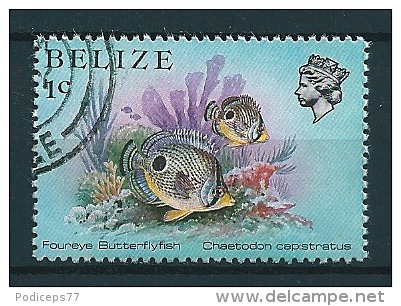 Belize 1984  Meeresfauna  1 C  Michel 729  Gestempelt / Used - Belize (1973-...)