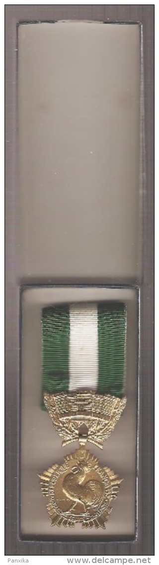 Médaille  D'Honneur Départementale Et Communale. Echellon Vermeil.Dans Sa Boite. - Professionals/Firms