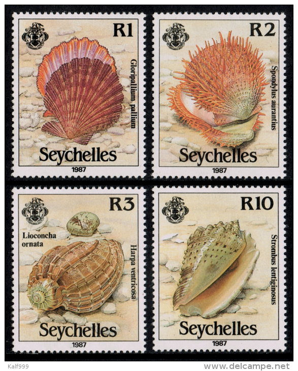 ~~~ Seychelles 1987 - Shells  - Mi. 633/636  ** MNH ~~~ - Ascension