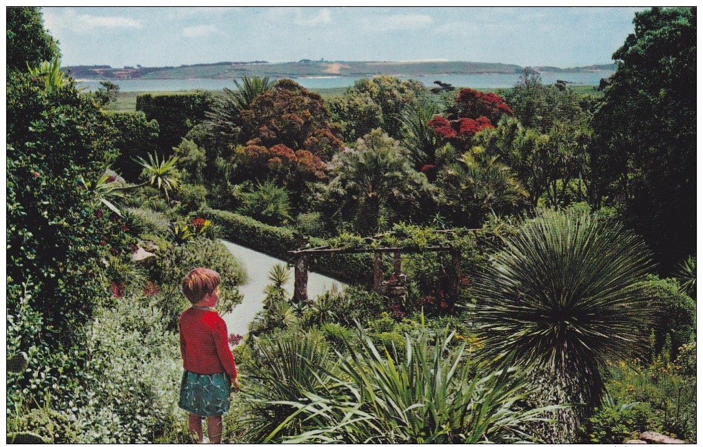 The Gardens,Tresco,Scilly, S13. - Scilly Isles