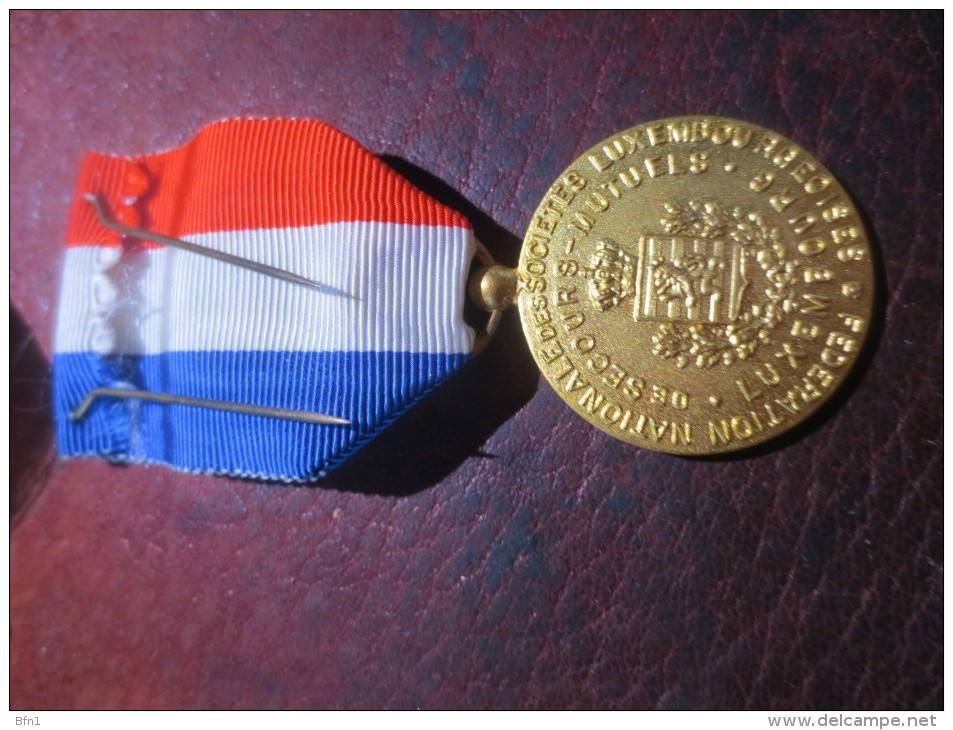 MEDAILLE MUTUALITE LUXEMBOURGEOISE - SECOURS MUTUEL  - VOIR PHOTOS - Andere & Zonder Classificatie