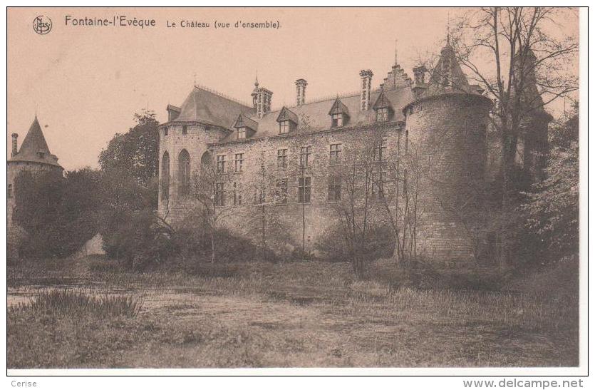 Fontaine - L´Evêque. Le Château (vue D'ensemble) - Fontaine-l'Evêque