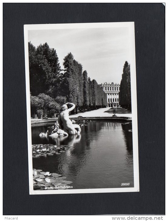 49503    Austria,    Wien,   Schonbrunn,  NV(scritta) - Schloss Schönbrunn