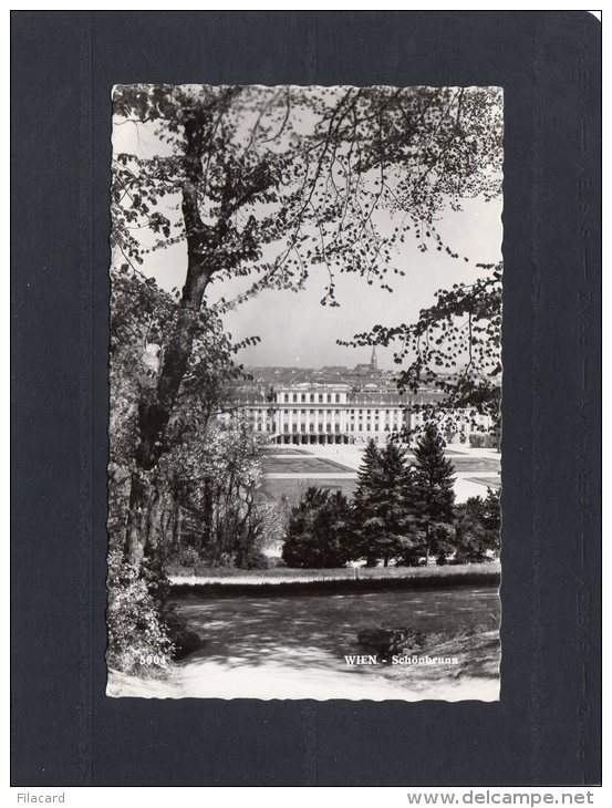 49510    Austria,    Wien,   Schonbrunn,  VG - Château De Schönbrunn