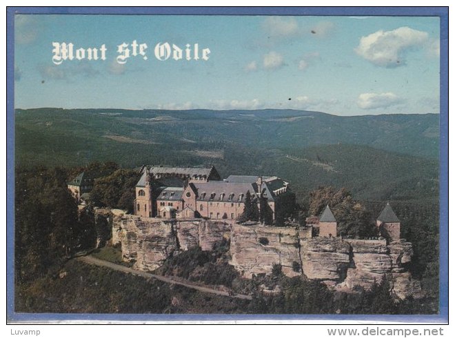 MONT-SAINTE-ODILE  - F/G   Colore (170609) - Altri & Non Classificati