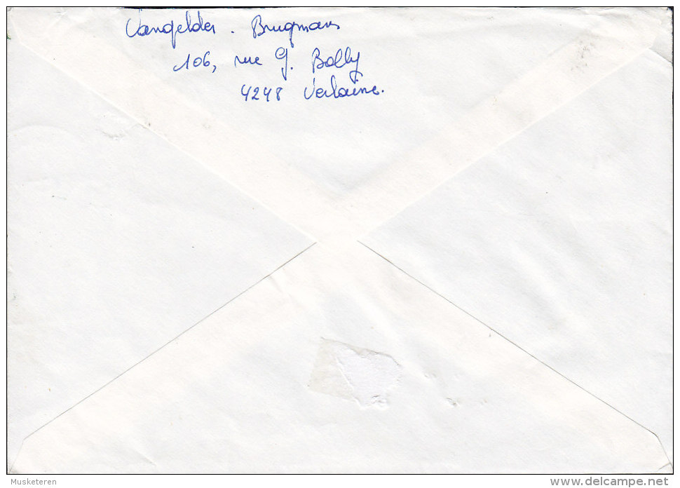 Belgium Registered Recommandé VERLAINE (LIEGE) Label CHARON-SERAING Cancel 1988 Cover Lettre Baudouin Bird Vogel Oiseau - Briefe U. Dokumente