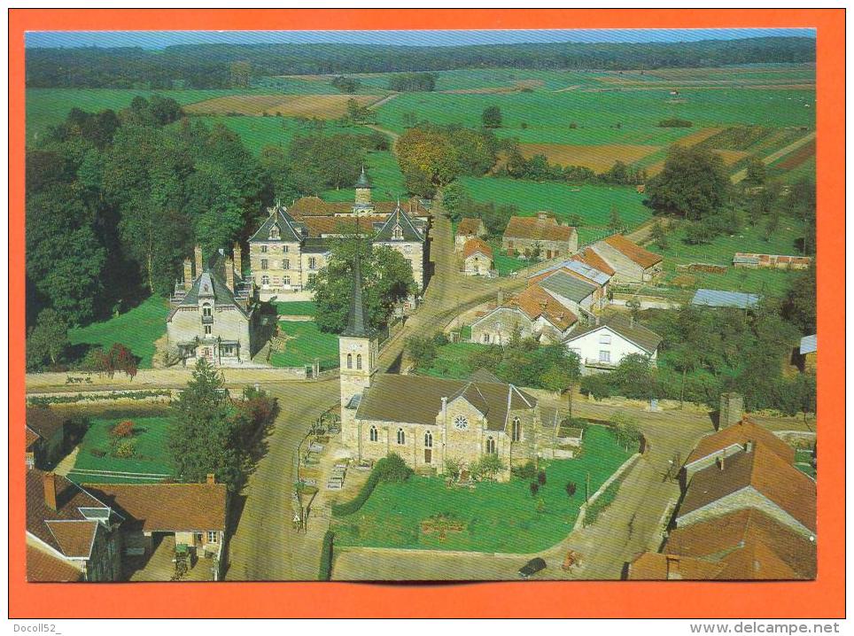 Dpt  52  Savigny  "   Vue Aerienne - L'eglise Et Le Chateau  "  Cpm GF - Autres & Non Classés