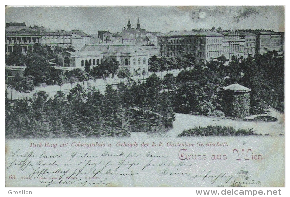 GRUSS AUS WIEN 63 PARK RING MIT COBURGPAIS U GEBAUDE DER K K GARTENBAU-GESELLSCHAFT 1898 - Ringstrasse