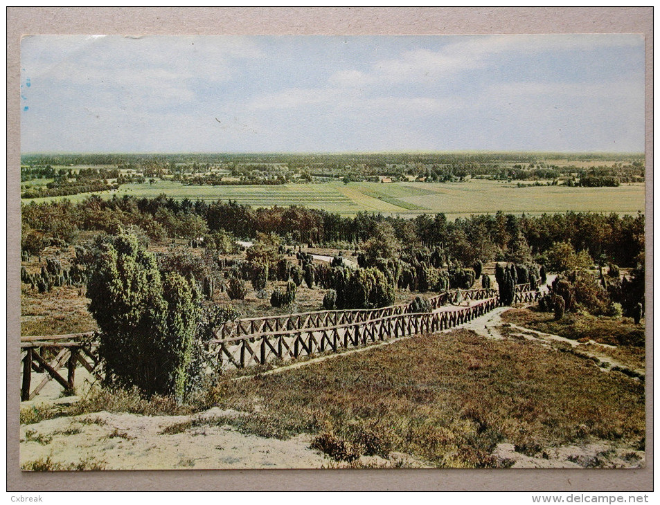 Ommen-Lemele, Panorama Vanaf De Lemelerberg - Ommen