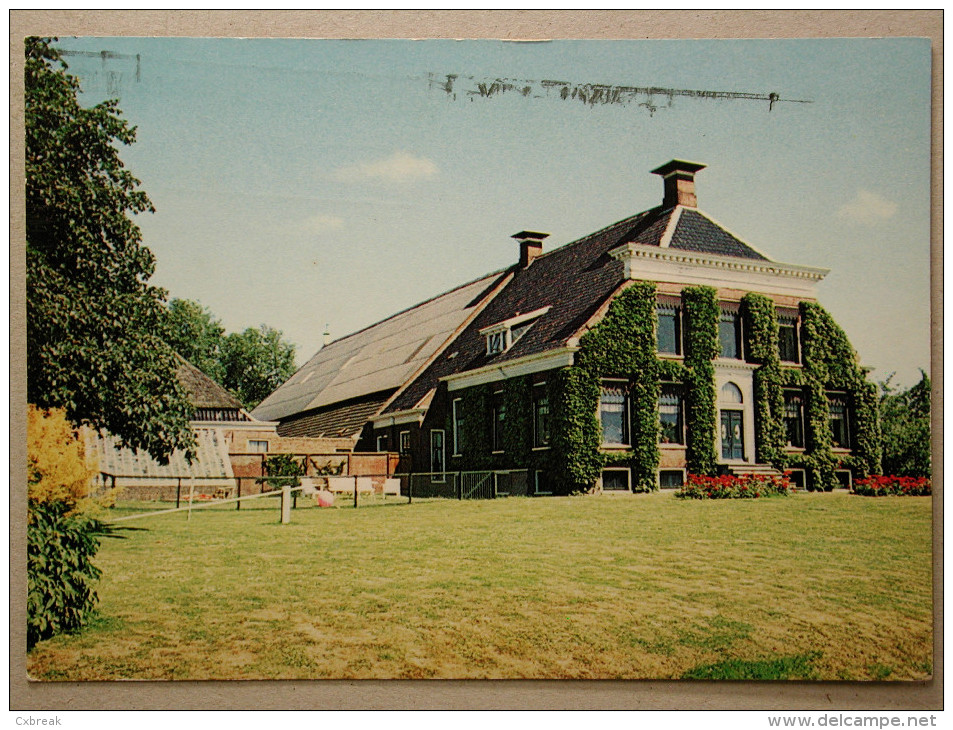 Groninger Boerderij Omgeving Uithuizen - Uithuizen