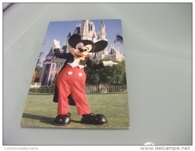 DISNEY WORLD  WALT DISNEY MICKEY  MOUSE TOPOLINO - Disneyworld