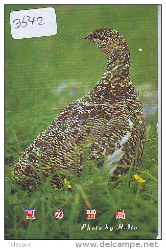 Telecarte Japon OISEAU (3542)   Phonecard Japan * BIRD * TELEFONKARTE VOGEL - Hoenderachtigen & Fazanten