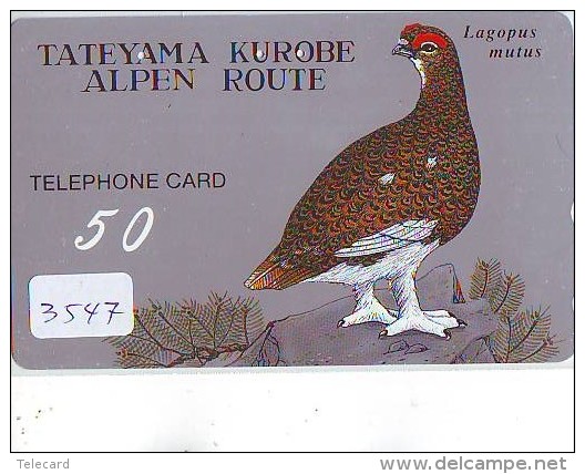 Telecarte Japon OISEAU (3547)   Phonecard Japan * BIRD * TELEFONKARTE VOGEL - Gallinaceans & Pheasants