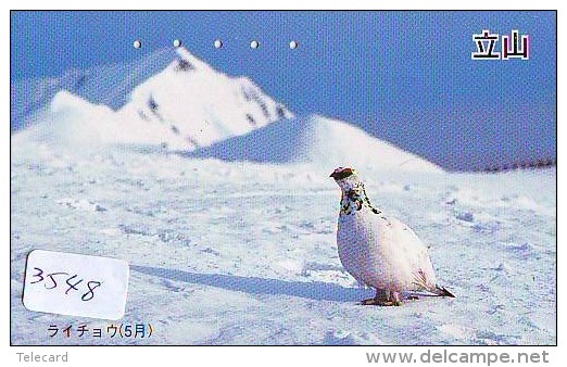 Telecarte Japon OISEAU (3548)   Phonecard Japan * BIRD * TELEFONKARTE VOGEL - Hühnervögel & Fasanen