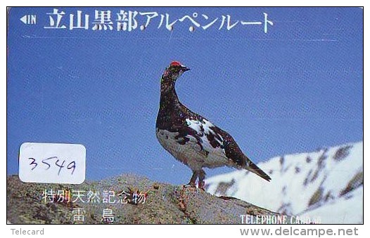 Telecarte Japon OISEAU (3549)   Phonecard Japan * BIRD * TELEFONKARTE VOGEL - Gallinaceans & Pheasants