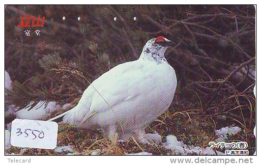 Telecarte Japon OISEAU (3550)   Phonecard Japan * BIRD * TELEFONKARTE VOGEL - Gallinaceans & Pheasants