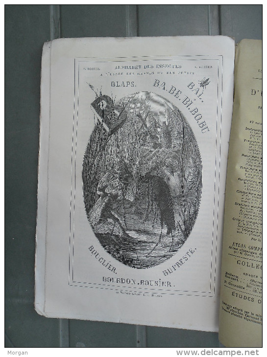 HETZEL, 1882, JULES VERNE, LOT de Revues MAGASIN Illustré d'EDUCATION et RECREATION 1882