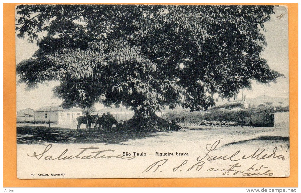 Sao Paulo Brazil 1903 Postcard Mailed To Greece - São Paulo