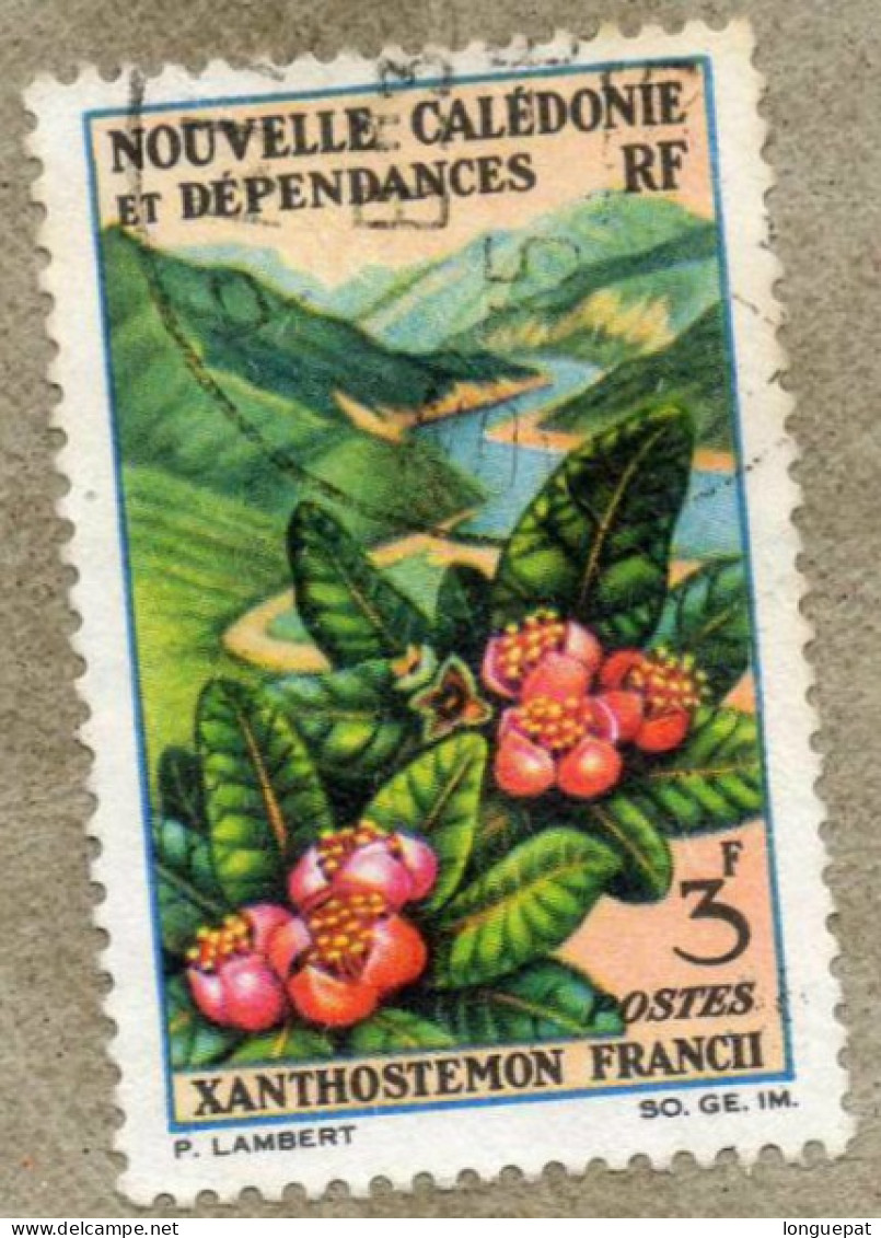 Nelle CALEDONIE  :Fleurs :  Xanthostemon Francii  - Famille Des Myrtacées - - Used Stamps