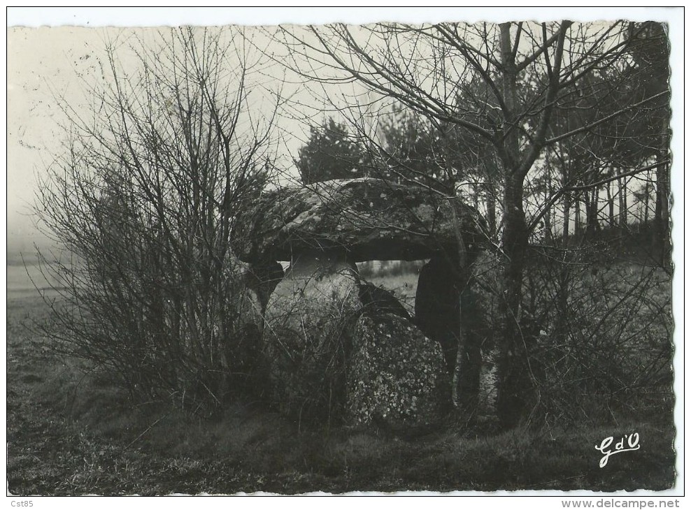 CPSM - Le Livradois - Ambert - Menhir Ou Dolmen De Boissière (coté Sud-ouest) à 5km D´Ambert - Ambert