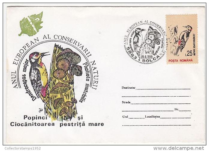 3139- BIRDS, WOODPECKER, MUSHROOMS, SPECIAL COVER, 1995, ROMANIA - Piciformes (pájaros Carpinteros)
