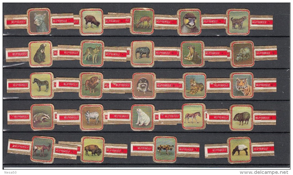 Sigarenbandjes  Nr 1  Tm 24  Compleet : Animals, Diren, Fauna, Horse, Icebear, Zebra - Sigarenbandjes