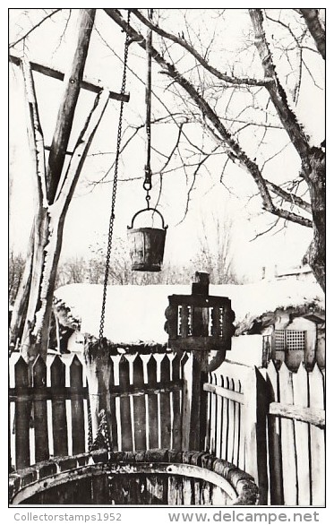 3339- BUCHAREST- VILLAGE MUSEUM, FOUNTAIN, POSTCARD - Roumanie