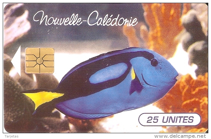TARJETA DE NUEVA CALEDONIA DE 25 UNITES DE UN PEZ CHIP G-1 (FISH)  TIRADA 100000 DEL 11/95 - Nueva Caledonia