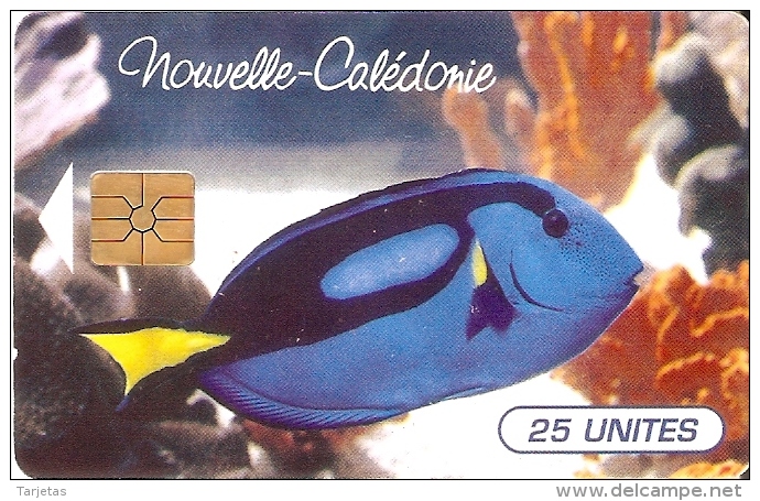 TARJETA DE NUEVA CALEDONIA DE 25 UNITES DE UN PEZ CHIP G-2 (FISH)  TIRADA 100000 DEL 11/95 - Nouvelle-Calédonie