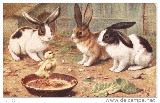 B. Cobbe  -  Three Rabbits & A Chick   -    9539 - Autres & Non Classés